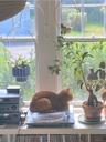 planetofplants