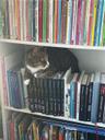 Hilma_AndHerPlants