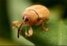 Iamnotfrankthegardener