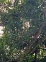 greenfingers33