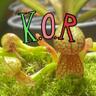 K.O.R