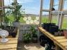 beesngardens