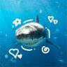 iheartsharks