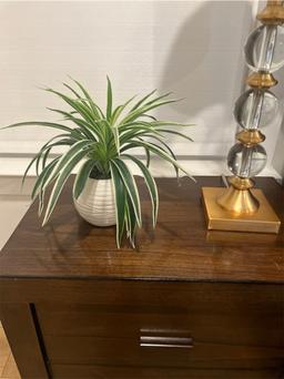 https://user-images.myplantin.com/prod/comments/20183900-1781-4426-a3ea-586cb6944e22.jpg