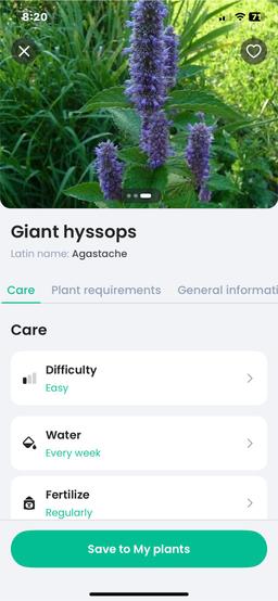 https://user-images.myplantin.com/prod/comments/277aefb0-77a2-44e8-ac3b-4349dff1fd32.jpg