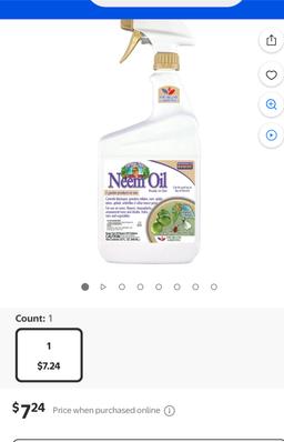 https://user-images.myplantin.com/prod/comments/2b40f294-63ed-4fb2-a2de-bc68e4d44c5c.jpg