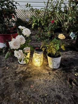 https://user-images.myplantin.com/prod/comments/4b1fd549-55f9-4d57-a77e-8690e443fdb3.jpg