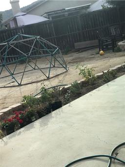 https://user-images.myplantin.com/prod/comments/58e32ebc-0e21-487f-8ee4-4dfdead7fea2.jpg