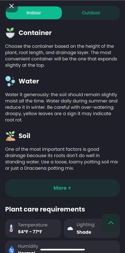 https://user-images.myplantin.com/prod/comments/5911e047-fee4-4951-a6d3-ef2385dbd961.jpg