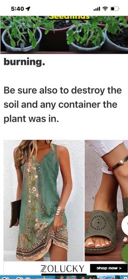 https://user-images.myplantin.com/prod/comments/595c2062-96b5-4fea-a0d7-37f37a36000c.jpg