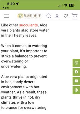 https://user-images.myplantin.com/prod/comments/867fda45-fa8a-452a-bf6e-3125b91db203.jpg