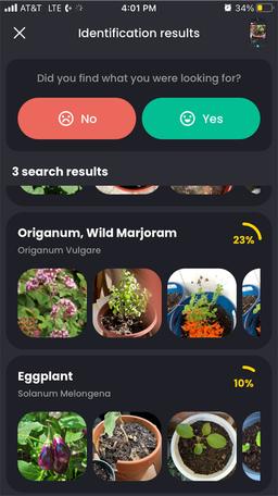 https://user-images.myplantin.com/prod/comments/88d040a9-4d99-40dd-96ed-911bef7cf367.jpg