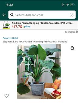 https://user-images.myplantin.com/prod/comments/b7b08f38-bc67-44a1-a84b-4077b598ed7c.jpg