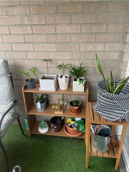 https://user-images.myplantin.com/prod/comments/b99291f5-cbb7-44c3-97bd-03a5f081800b.jpg