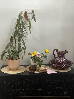 https://user-images.myplantin.com/prod/comments/ef769d24-5847-4b84-a5eb-b926af14cf36.jpg