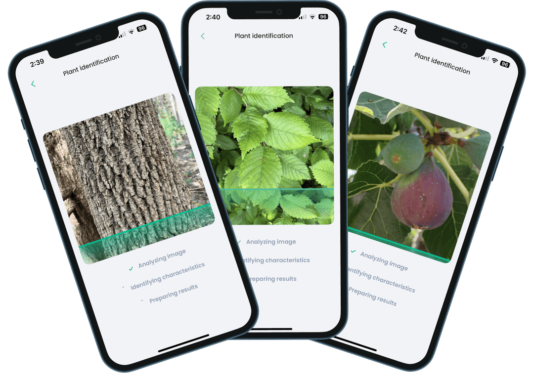 Tree Tools Android Tree Identifier App