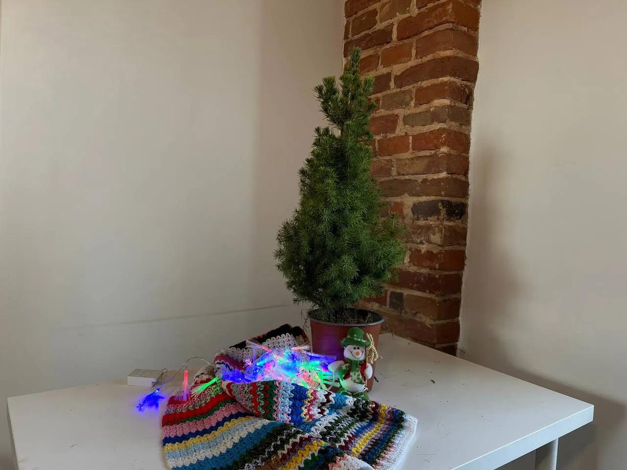 Christmas Planter Idea