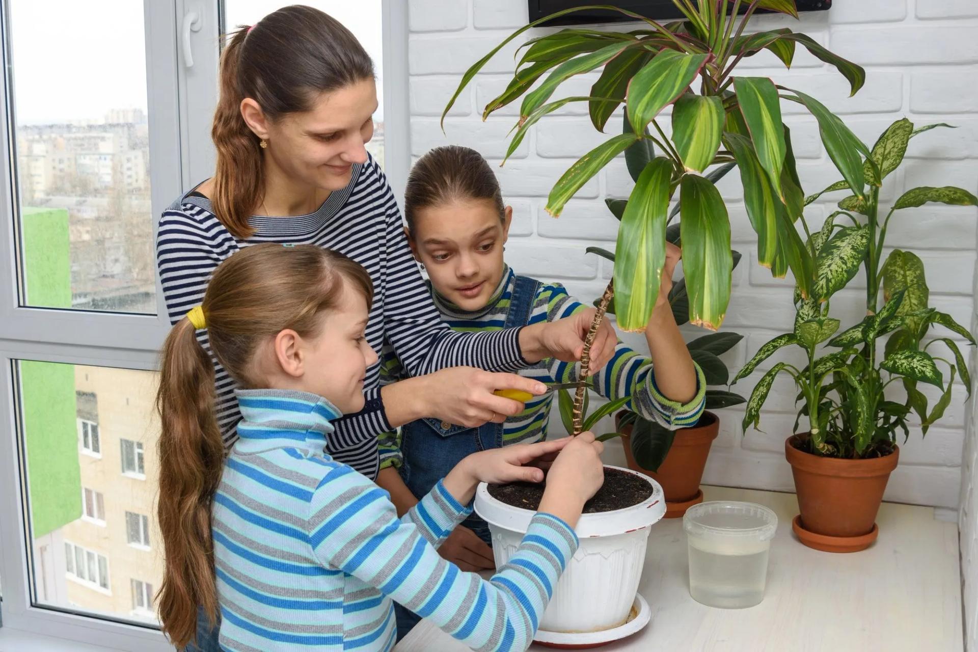 Children near plants