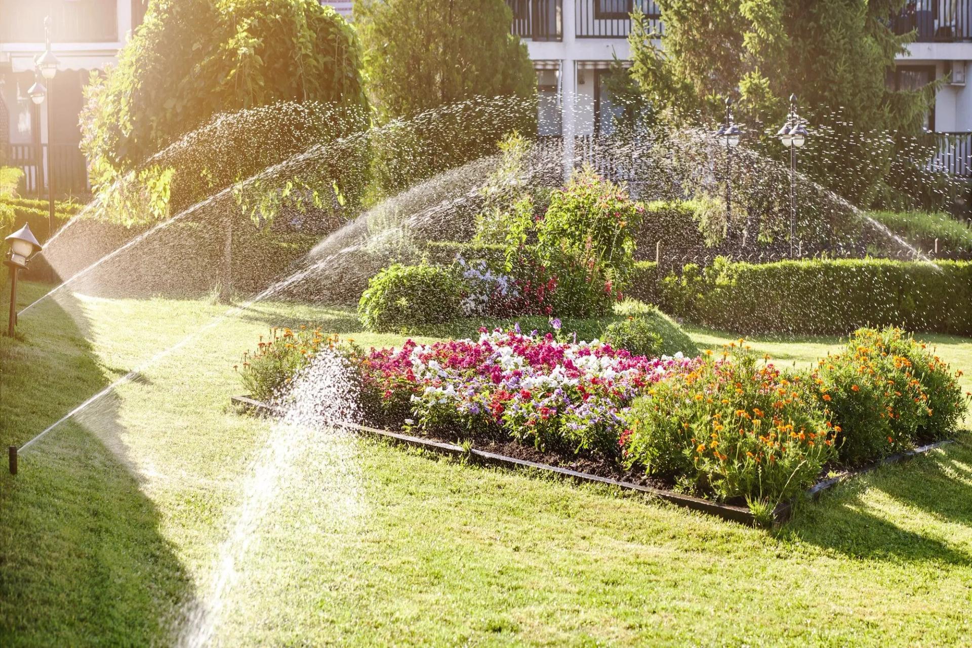 Sprinklers Watering Flowers and Lawn
