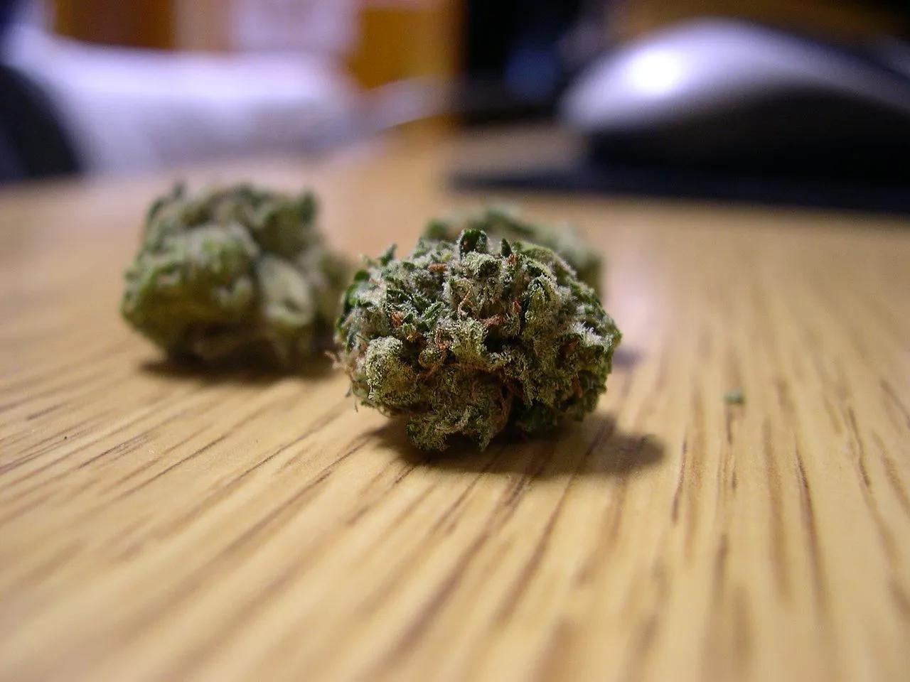 White Widow Weed on the Table