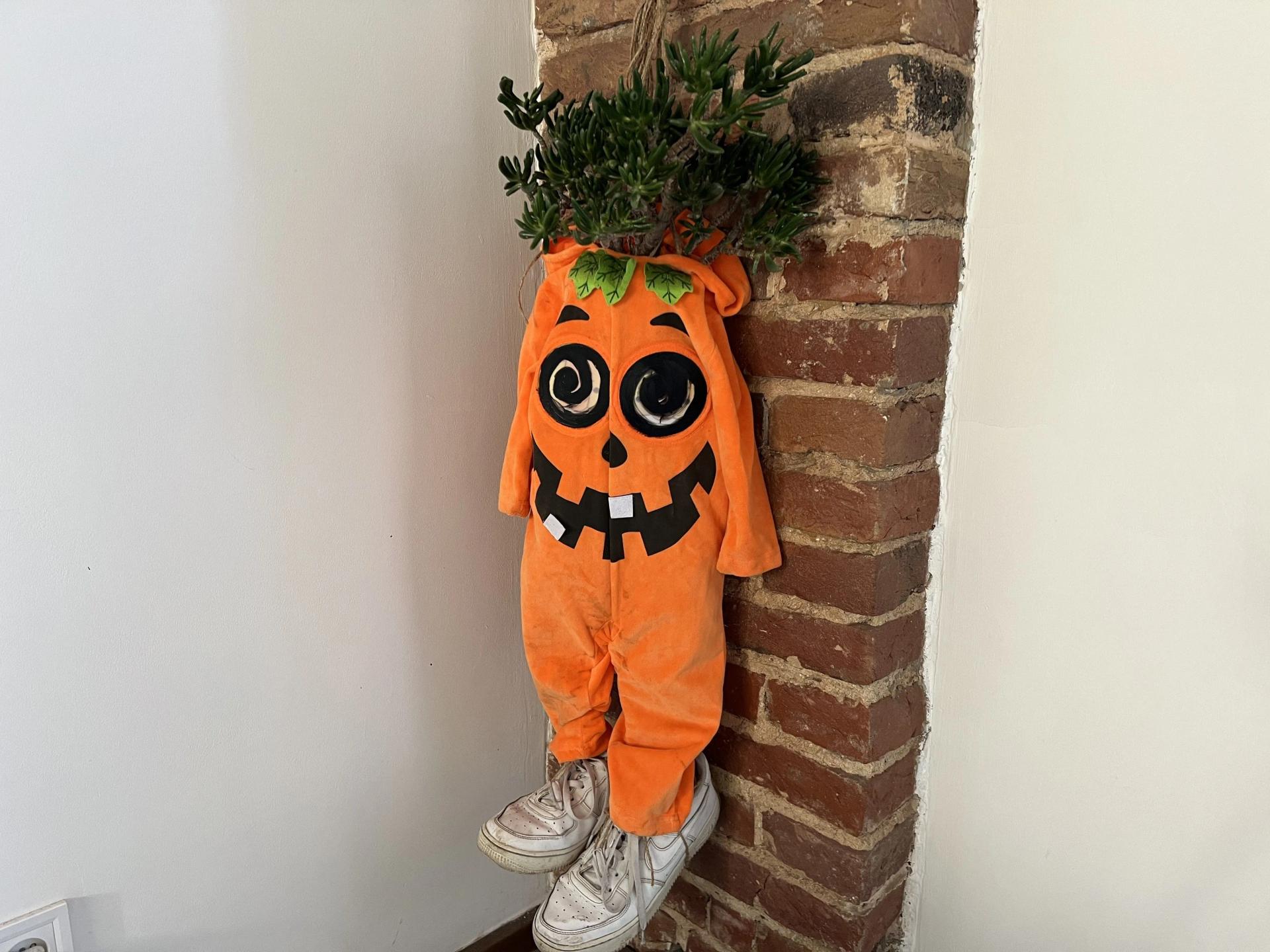 Pumpkin Boy Plant Decoration