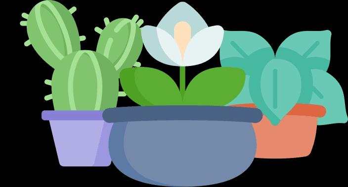 potted plants