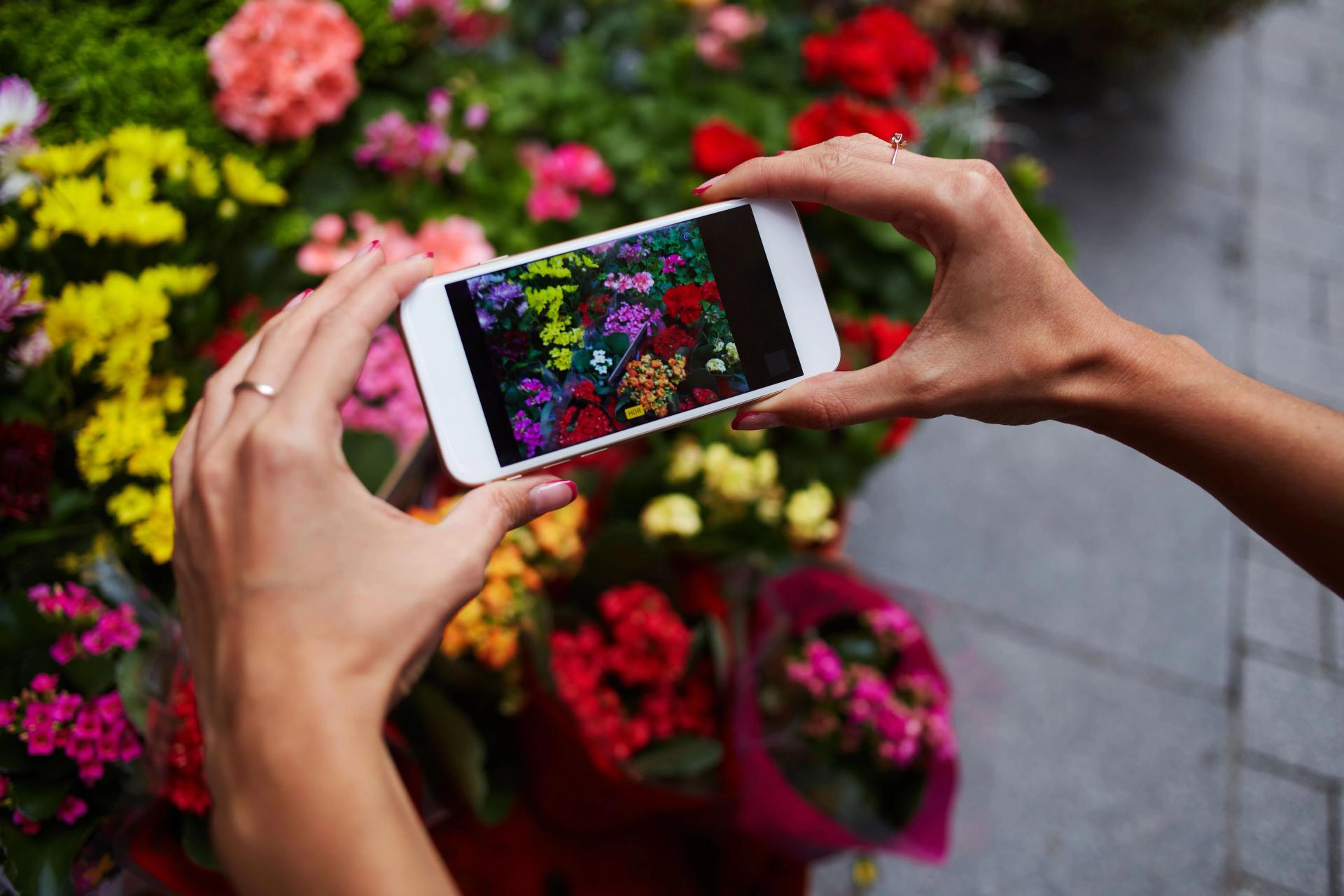 Photographing your garden for Instagram