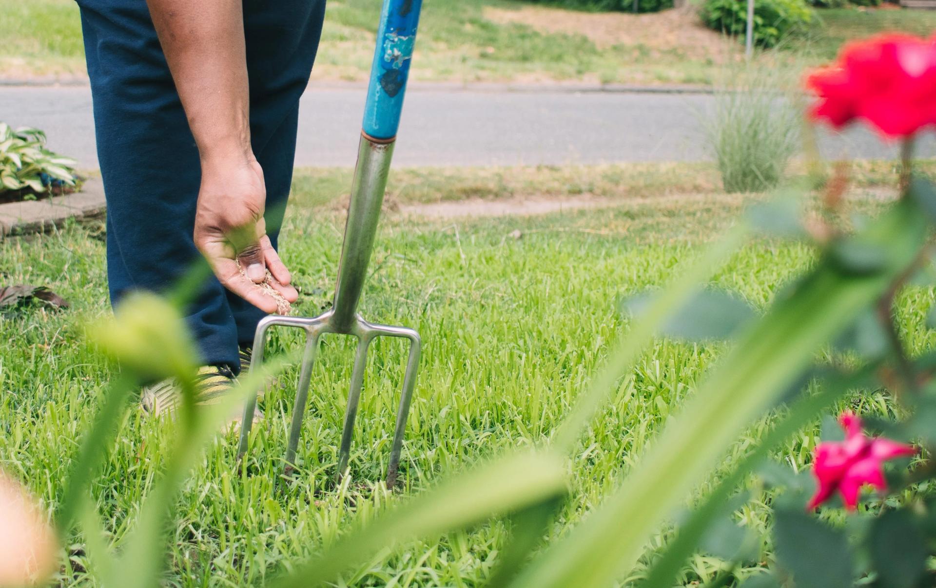 Layering of The Grass Seeds