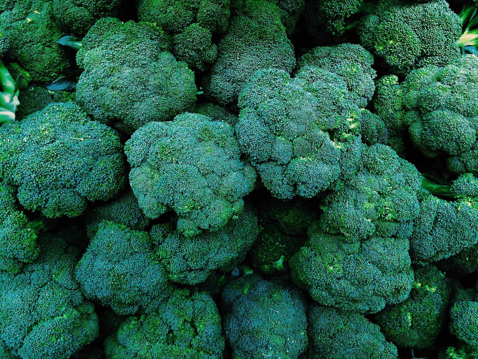 Broccoli Vegetables