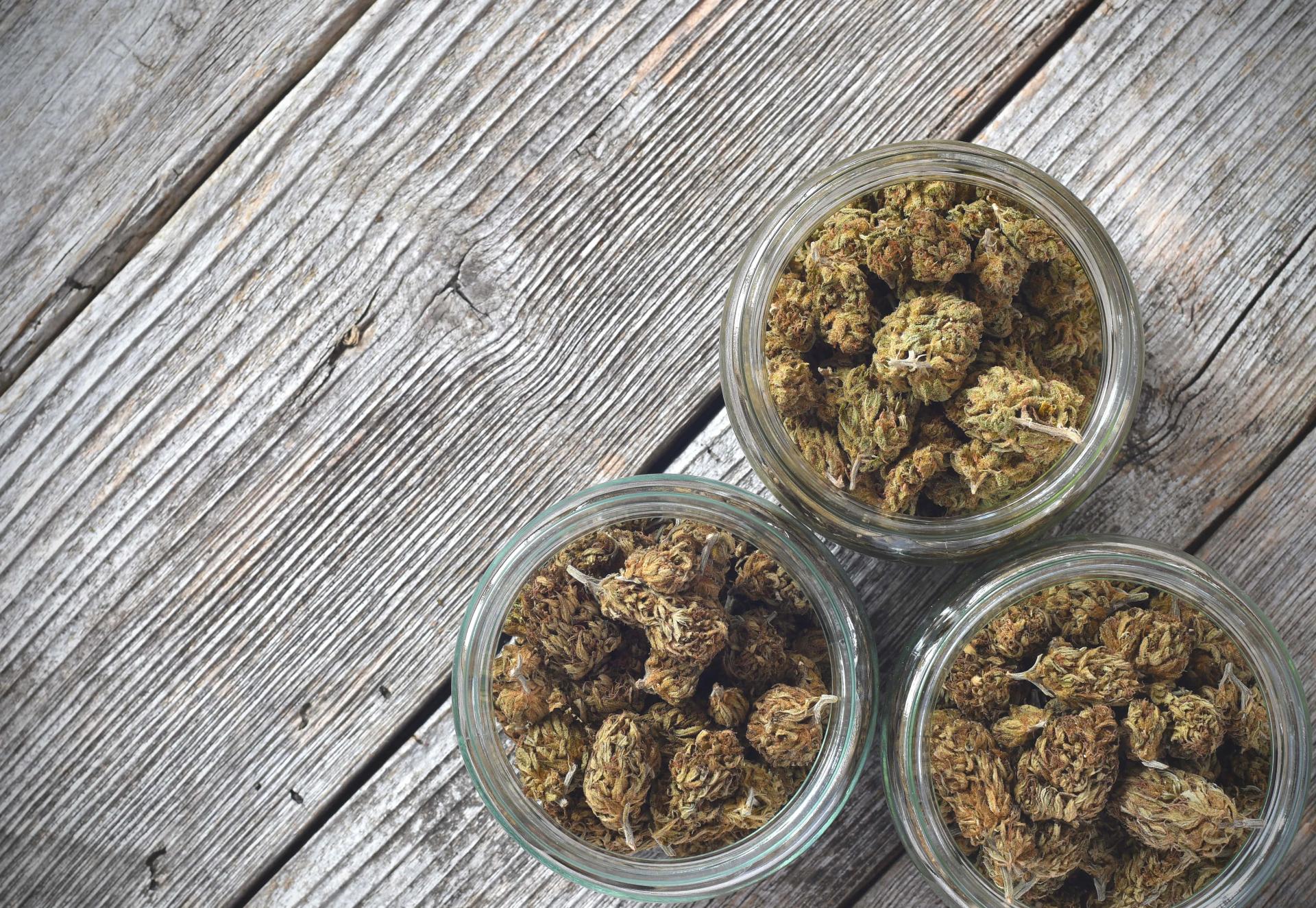 Trimmed Cannabis in a Jar