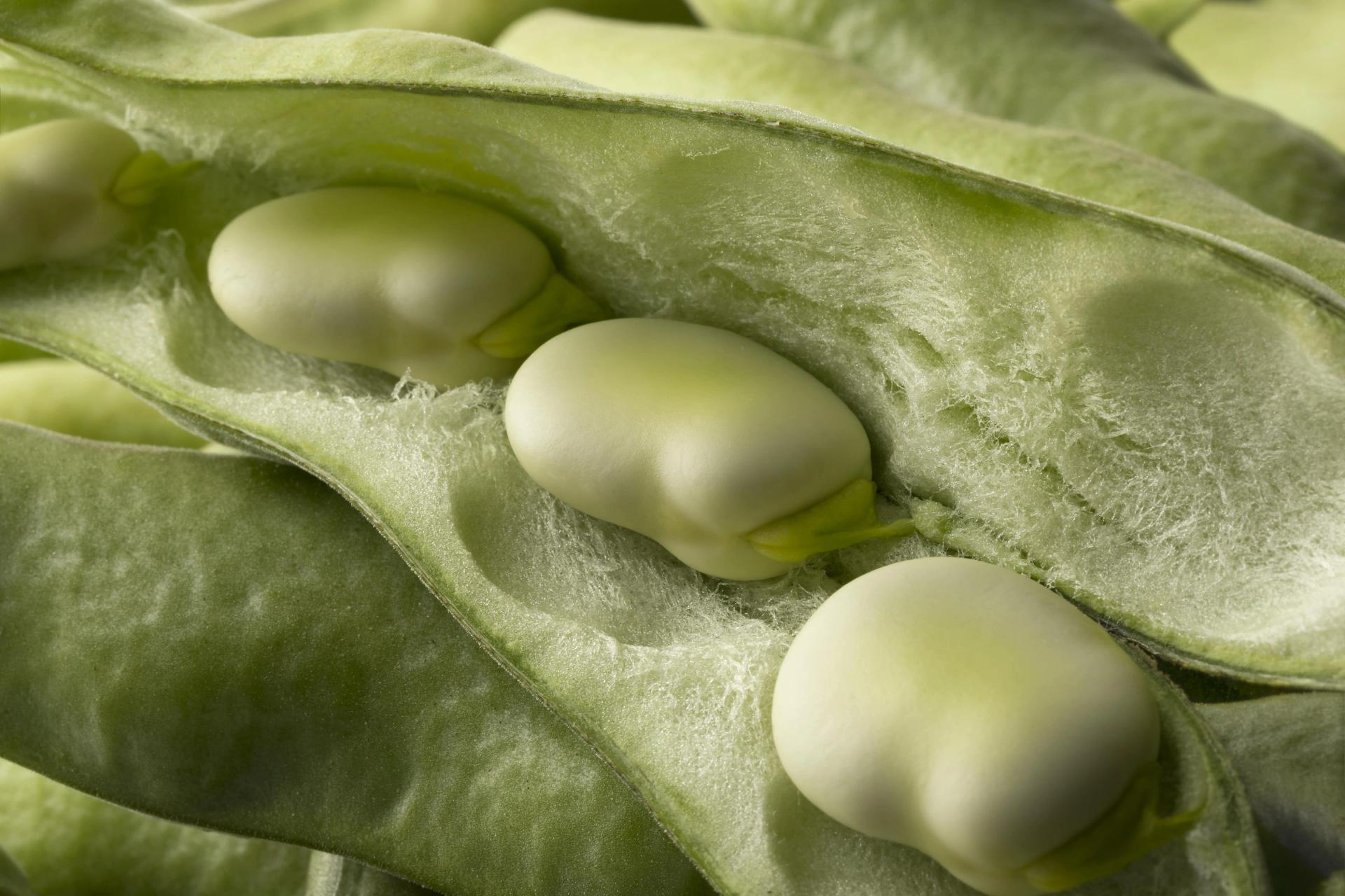 Pods Inside Green Beans