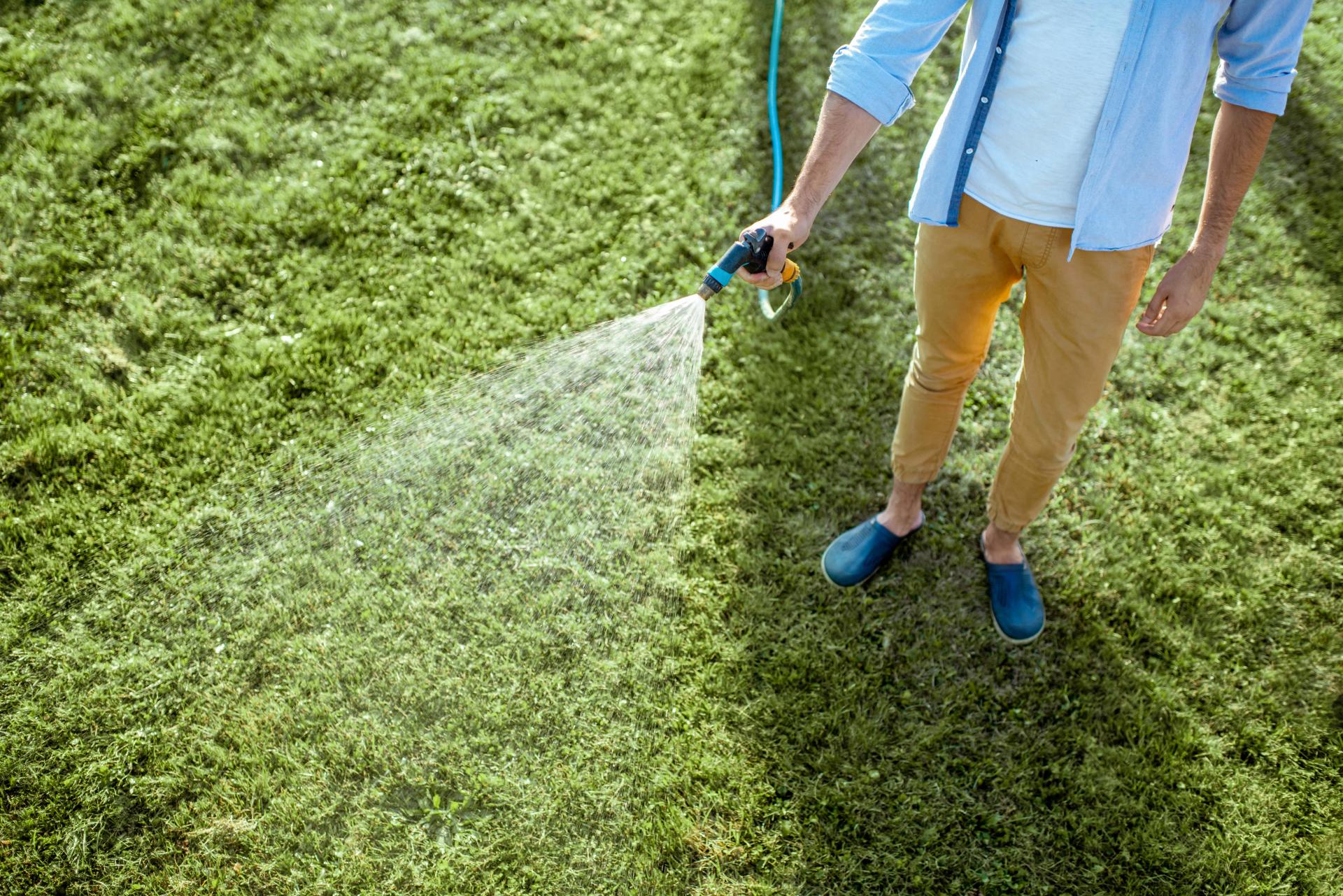 Watering Grass Lawn