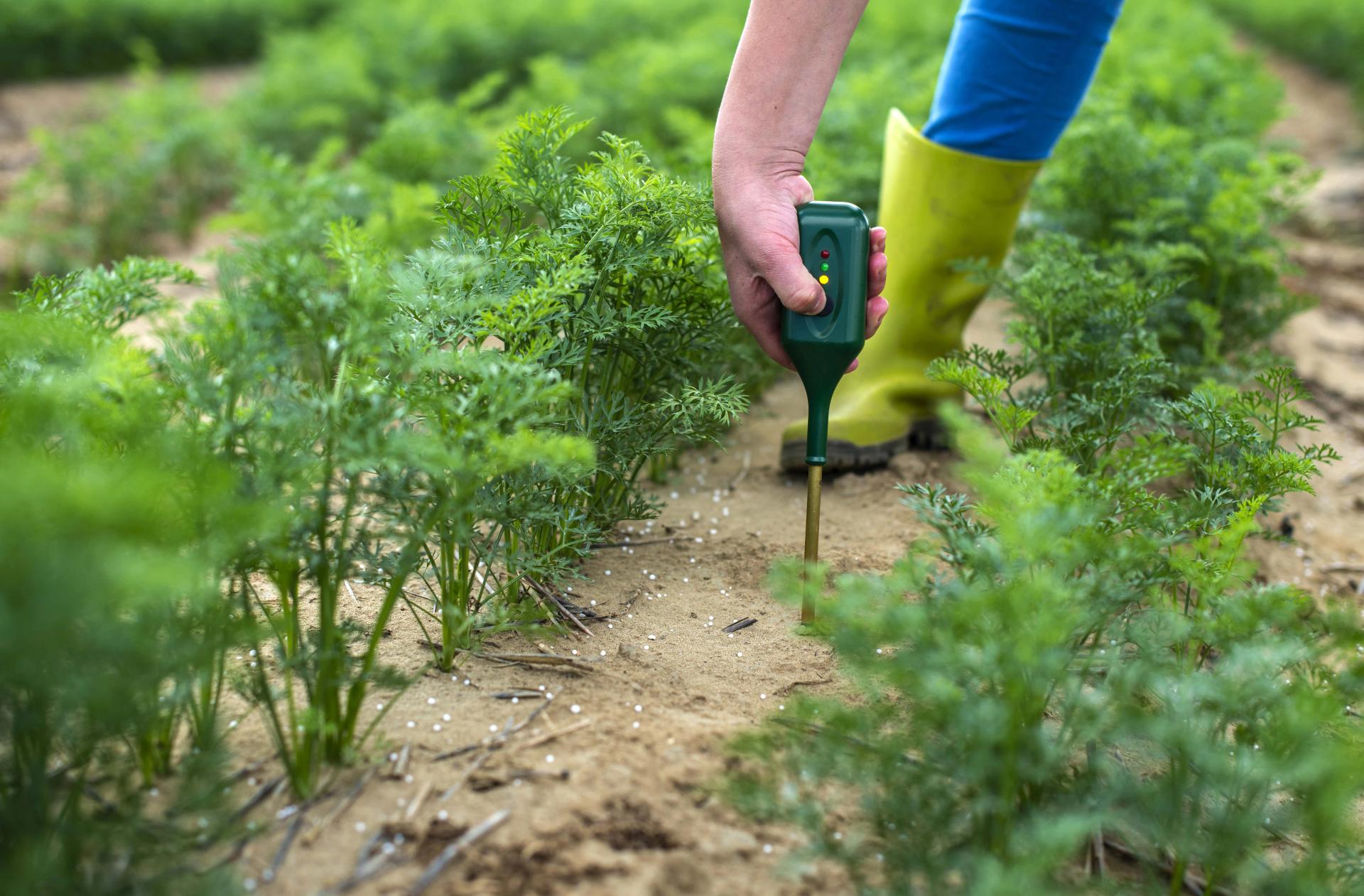 Using Meter to Measure Nitrogen Level