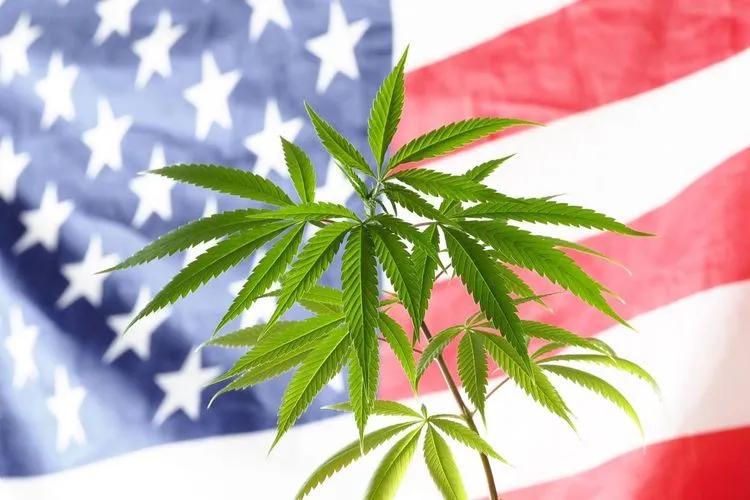 Use of cannabis: legal states in the US