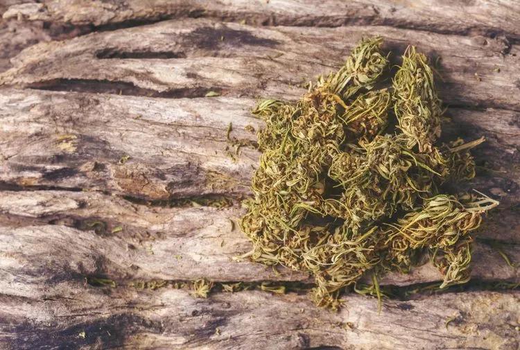 What's The Difference Between Medical And Recreational Weed?