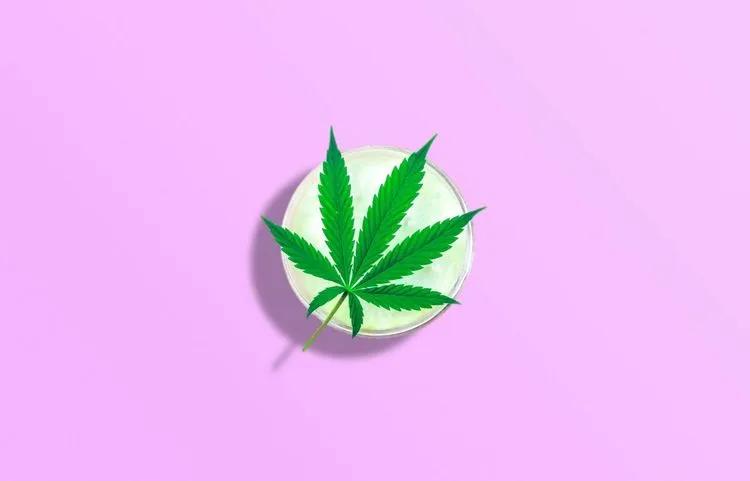 Growing cannabis: tips and lifehacks