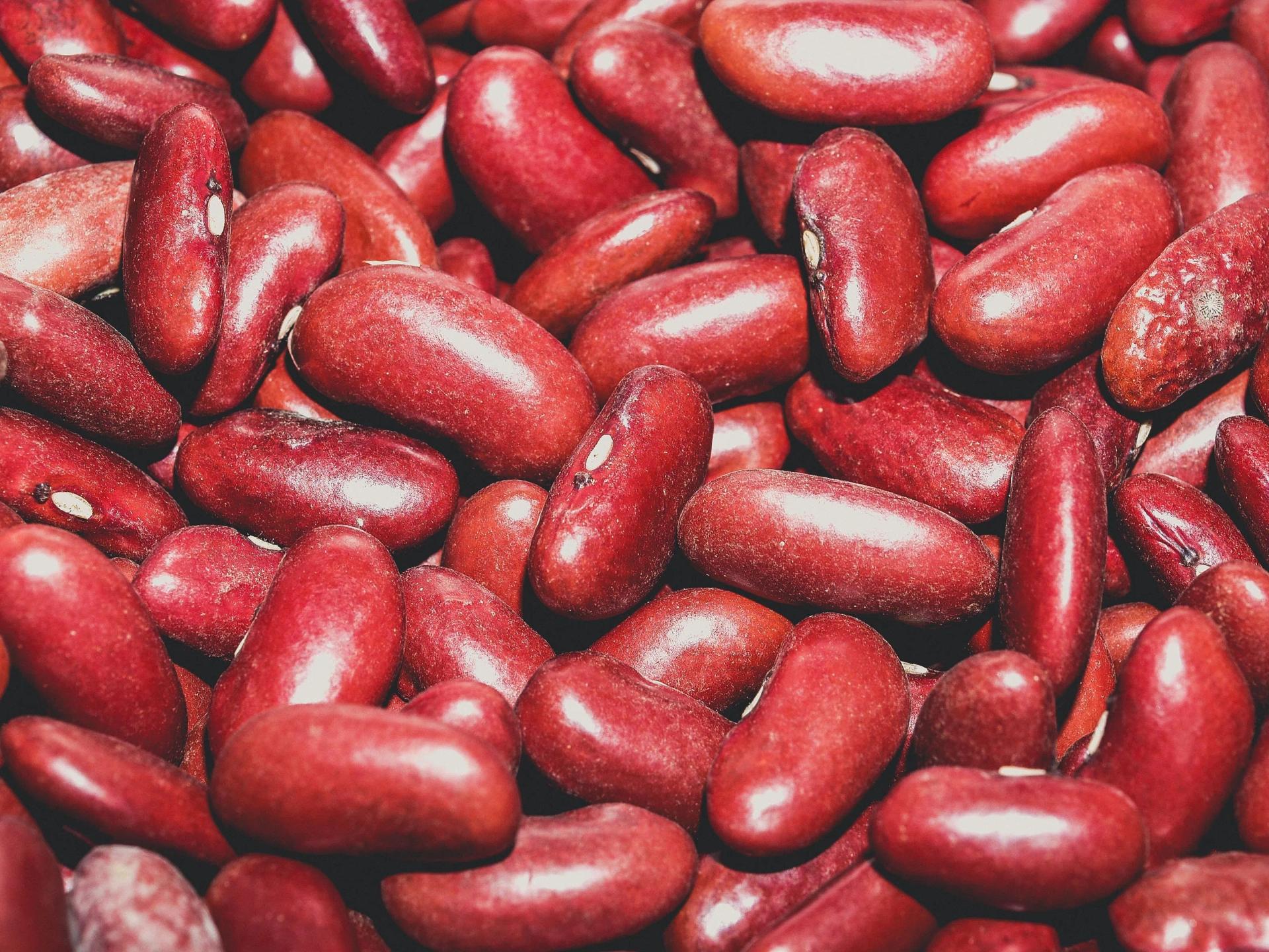 Beans Close Up