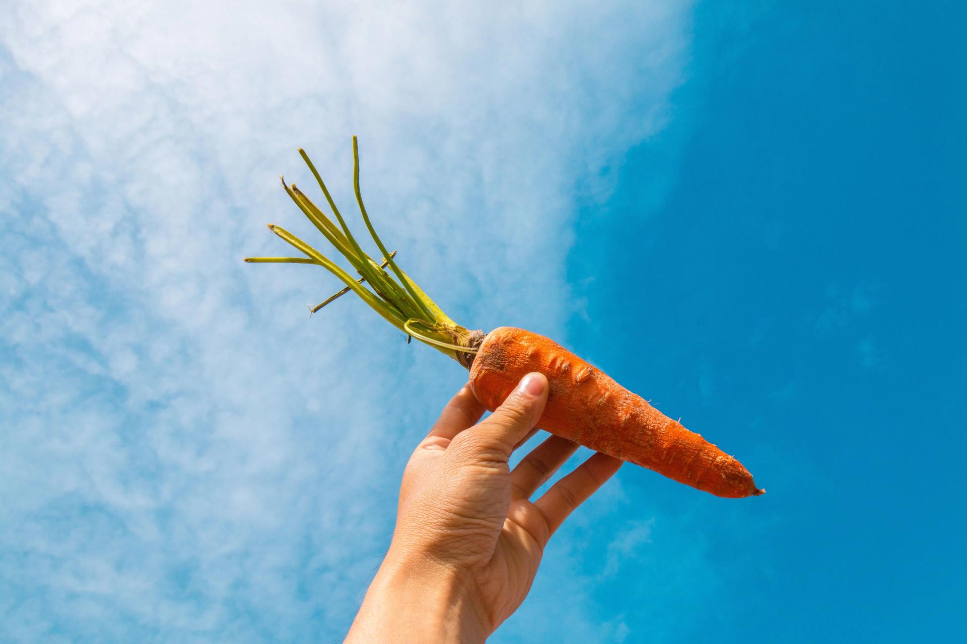 Holding a Carrot Against the Sky