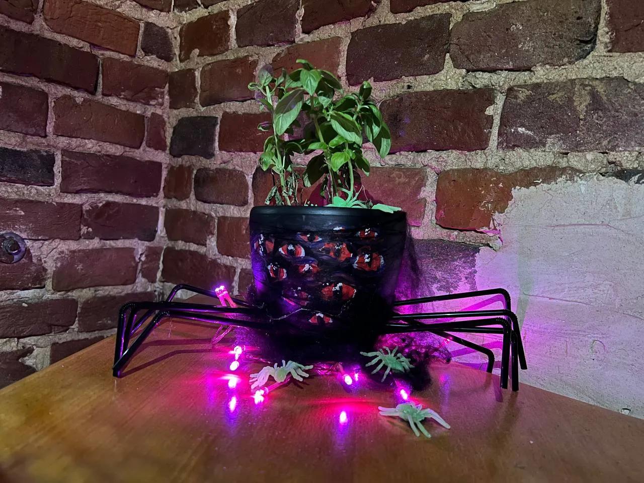 Pot with Spider Legs