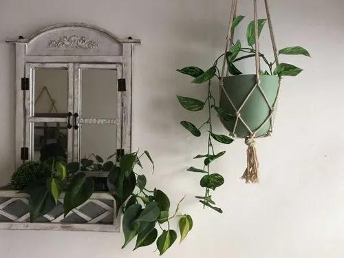 Top Outdoor Hanging Plants Ideas