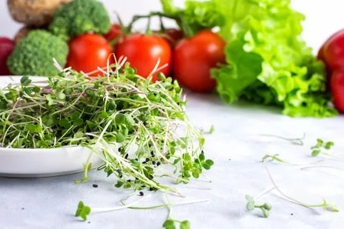 How to Grow Microgreens at Home