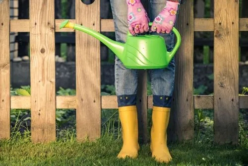 Choosing watering can for planting