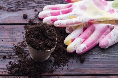 Common Types of Potting Soil Guide