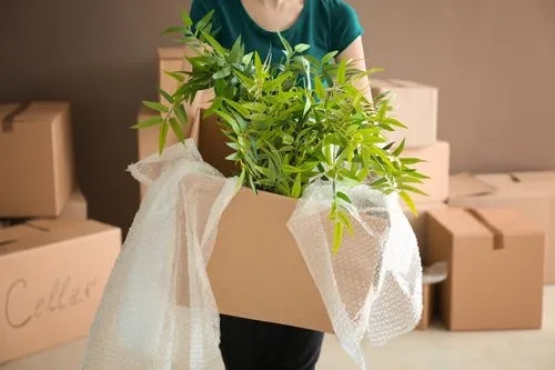 How to Move Plants & to Pack Them