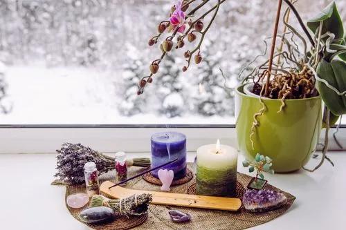 How to Keep Plants Warm in Winter