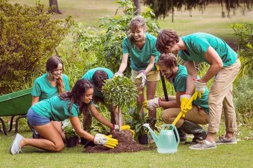 Entering Community Gardening Season with PlantIn