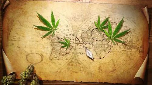 The History Of Cannabis & Rituals To Know About