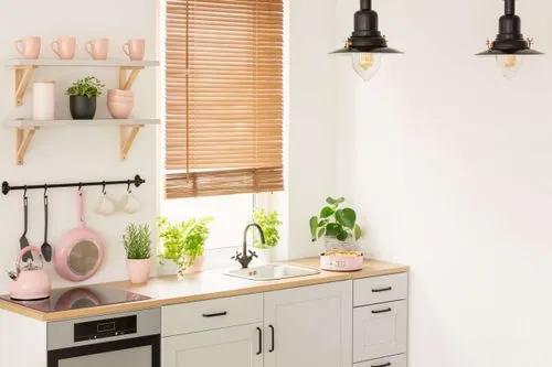 Top 5 plants for kitchen