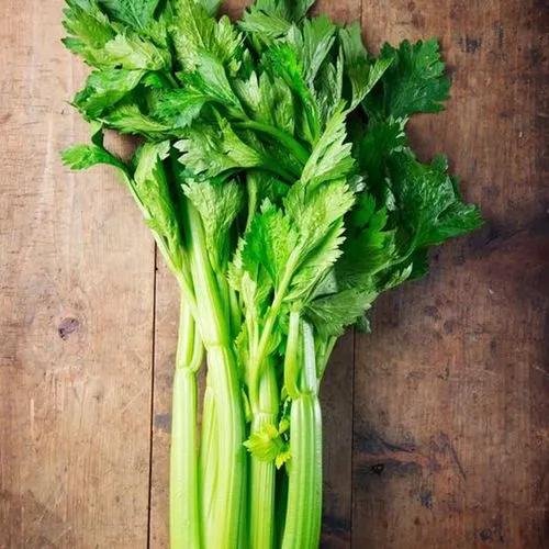 Water Celery