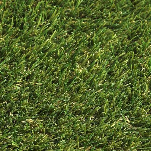 Goldensilk Grass